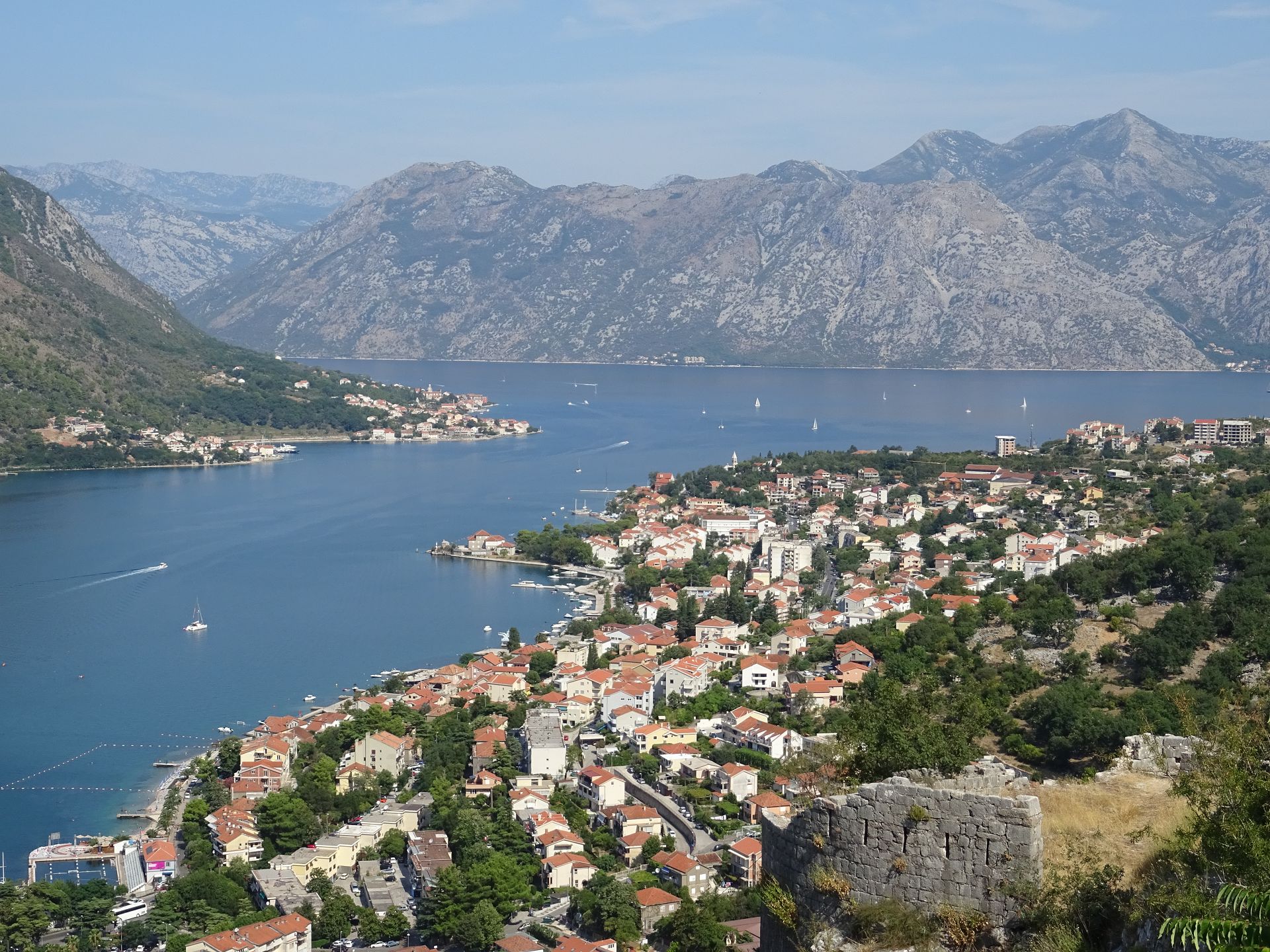 Kotor